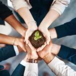 Why Sustainability Is So Important for Future Innovation