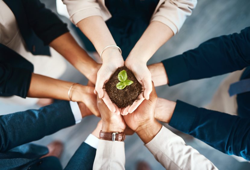 Why Sustainability Is So Important for Future Innovation